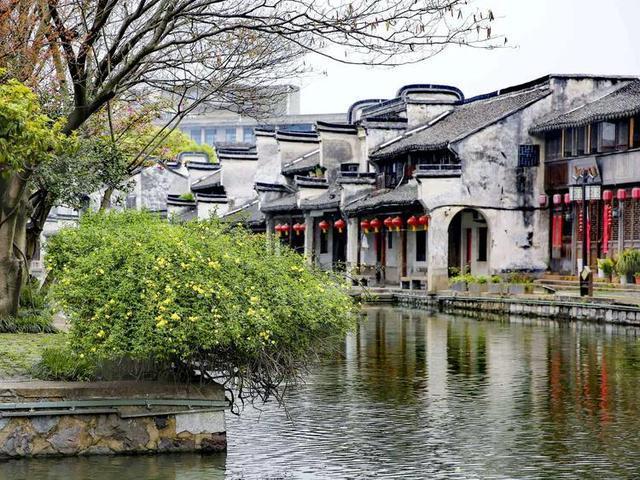 禹州市公共资源交易中心以“六化”标准化推动营商环境持续优化